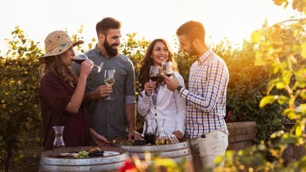 4 friends tasting red wine on barrels next to grape vines in Margaret River